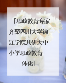 思政教育专家齐聚四川大学锦江学院共研大中小学思政教育一体化