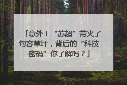 意外！“苏超”带火了句容草坪，背后的“科技密码”你了解吗？
