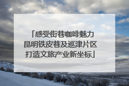 感受街巷咖啡魅力 昆明铁皮巷及巡津片区打造文旅产业新坐标