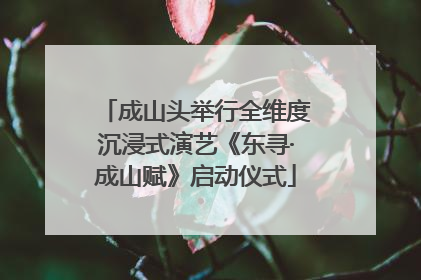 成山头举行全维度沉浸式演艺《东寻·成山赋》启动仪式