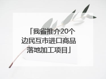 我省推介20个边民互市进口商品落地加工项目