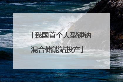 我国首个大型锂钠混合储能站投产