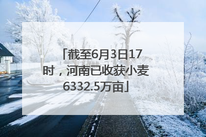 截至6月3日17时，河南已收获小麦6332.5万亩