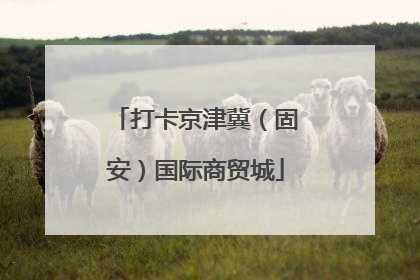 打卡京津冀（固安）国际商贸城