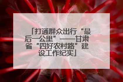 打通群众出行“最后一公里”——甘肃省“四好农村路”建设工作纪实