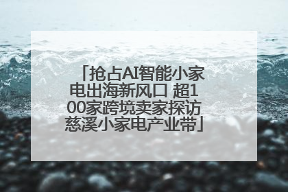 抢占AI智能小家电出海新风口 超100家跨境卖家探访慈溪小家电产业带