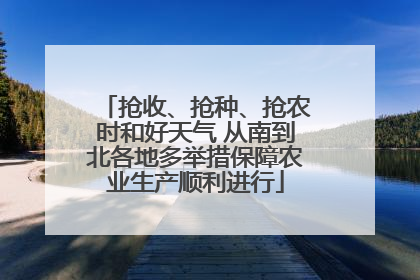 抢收、抢种、抢农时和好天气 从南到北各地多举措保障农业生产顺利进行