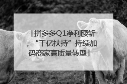 拼多多Q1净利腰斩，“千亿扶持”持续加码商家高质量转型