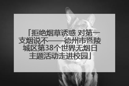 拒绝烟草诱惑 对第一支烟说不——德州市暨陵城区第38个世界无烟日主题活动走进校园