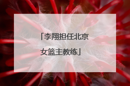 李翔担任北京女篮主教练