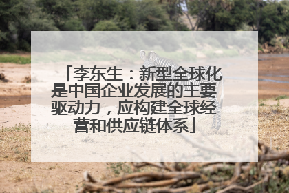 李东生：新型全球化是中国企业发展的主要驱动力，应构建全球经营和供应链体系