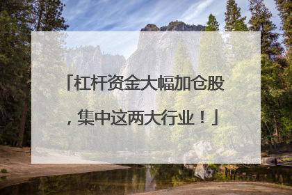 杠杆资金大幅加仓股，集中这两大行业！