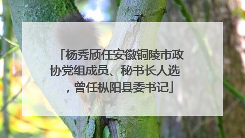 杨秀颀任安徽铜陵市政协党组成员、秘书长人选，曾任枞阳县委书记