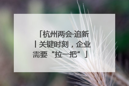 杭州两会·追新丨关键时刻，企业需要“拉一把”