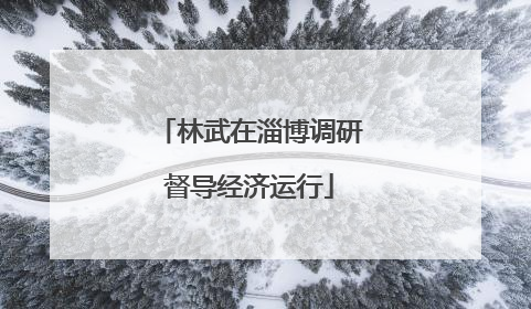 林武在淄博调研督导经济运行