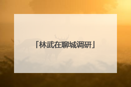 林武在聊城调研