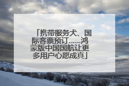 携带服务犬、国际客票预订……鸿蒙版中国国航让更多用户心愿成真