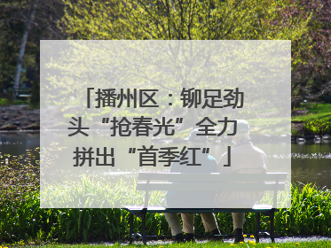 播州区：铆足劲头“抢春光”全力拼出“首季红”