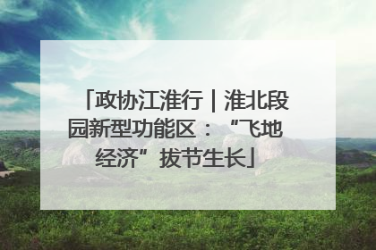 政协江淮行｜淮北段园新型功能区：“飞地经济”拔节生长
