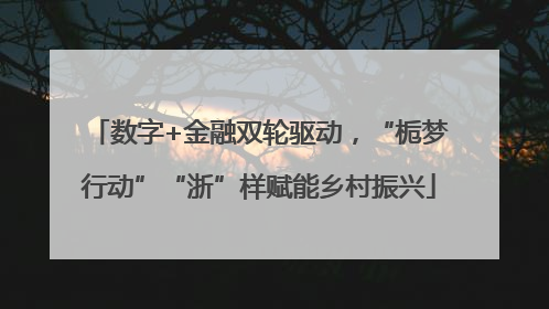 数字+金融双轮驱动，“栀梦行动”“浙”样赋能乡村振兴