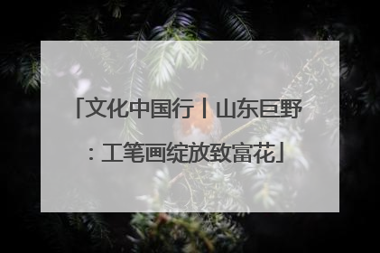 文化中国行丨山东巨野：工笔画绽放致富花