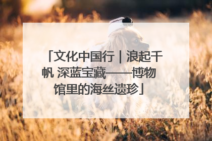 文化中国行｜浪起千帆 深蓝宝藏——博物馆里的海丝遗珍