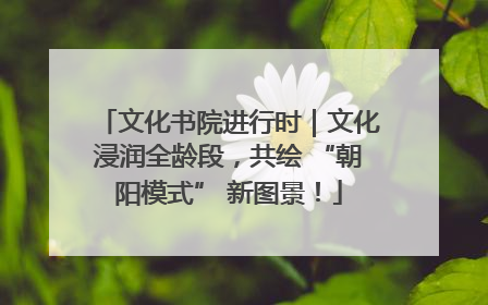 文化书院进行时｜文化浸润全龄段，共绘 “朝阳模式” 新图景！