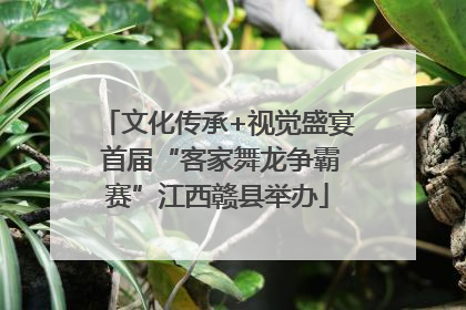 文化传承+视觉盛宴 首届“客家舞龙争霸赛”江西赣县举办