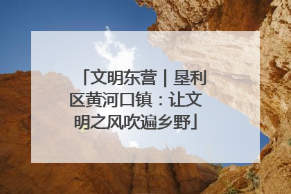 文明东营｜垦利区黄河口镇：让文明之风吹遍乡野