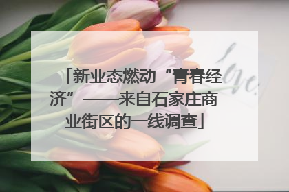新业态燃动“青春经济”——来自石家庄商业街区的一线调查