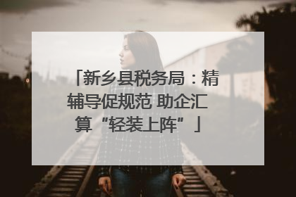 新乡县税务局：精辅导促规范 助企汇算“轻装上阵”
