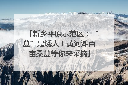 新乡平原示范区：“葚”是诱人！黄河滩百亩桑葚等你来采摘