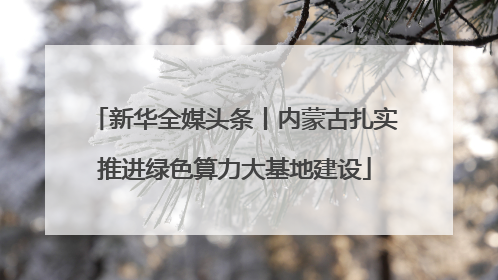 新华全媒头条丨内蒙古扎实推进绿色算力大基地建设