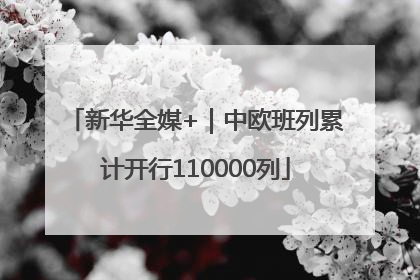 新华全媒+｜中欧班列累计开行110000列