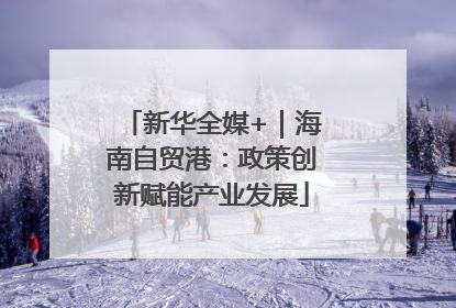 新华全媒+｜海南自贸港：政策创新赋能产业发展