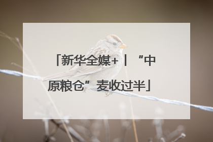 新华全媒+丨“中原粮仓”麦收过半