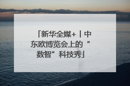 新华全媒+丨中东欧博览会上的“数智”科技秀