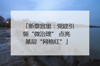新泰宫里：党建引领“微治理” 点亮基层“网格红”