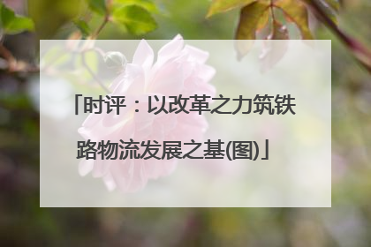 时评：以改革之力筑铁路物流发展之基(图)
