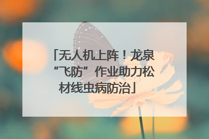 无人机上阵！龙泉“飞防”作业助力松材线虫病防治