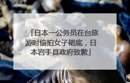 日本一公务员在台旅游时偷拍女子裙底，日本岩手县政府致歉