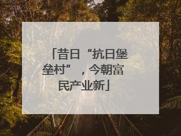 昔日“抗日堡垒村”，今朝富民产业新