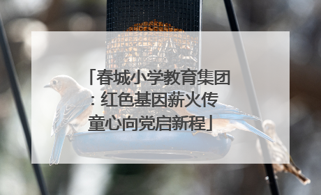 春城小学教育集团：红色基因薪火传 童心向党启新程