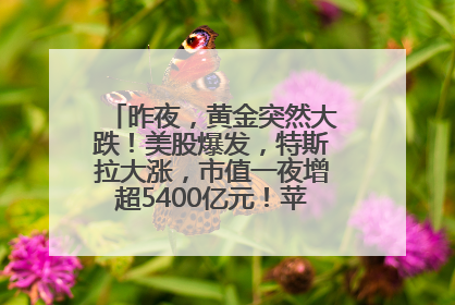 昨夜，黄金突然大跌！美股爆发，特斯拉大涨，市值一夜增超5400亿元！苹果传来大消息