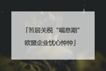 暂居关税“喘息期” 欧盟企业忧心忡忡