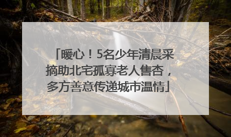 暖心！5名少年清晨采摘助北宅孤寡老人售杏，多方善意传递城市温情