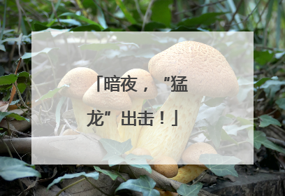 暗夜，“猛龙”出击！