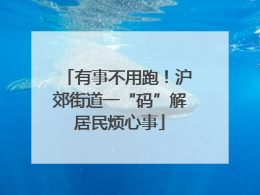 有事不用跑！沪郊街道一“码”解居民烦心事