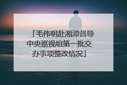 毛伟明赴湘潭督导中央巡视组第一批交办事项整改情况