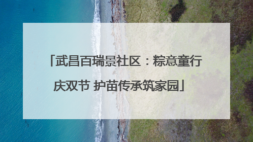 武昌百瑞景社区：粽意童行庆双节 护苗传承筑家园